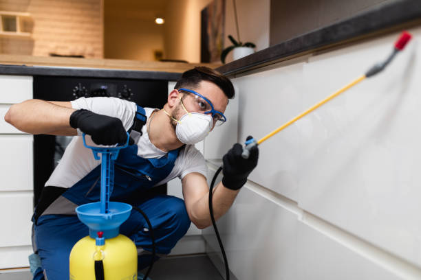 Pest Control Cost in Martin, TN