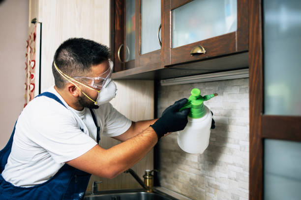 Pest Control for Restaurants in Martin, TN