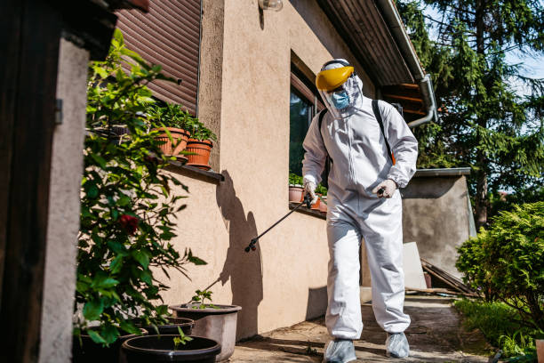 Professional Pest Control in Martin, TN