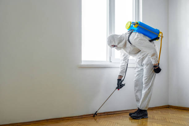 Best Insect Control  in Martin, TN