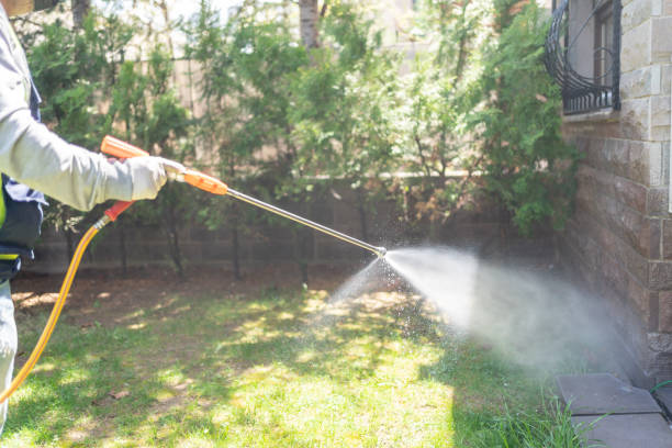 Best Emergency Pest Control  in Martin, TN