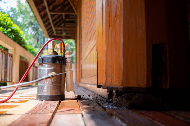 Best Mosquito Control Services  in Martin, TN