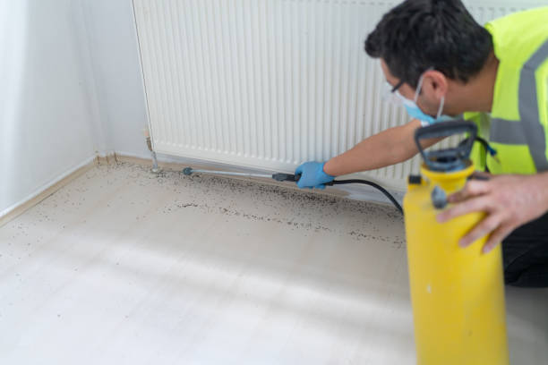 Best Cockroach Control Services  in Martin, TN